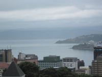 IMG_1495.jpg