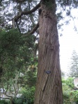 IMG_1512.jpg
