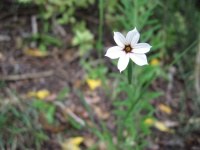 IMG_1523.jpg