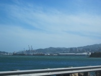 IMG_1575.jpg