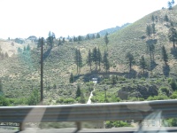 IMG_0195.JPG