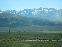 IMG_0203.JPG