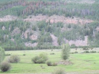 IMG_0470.JPG