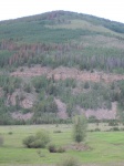 IMG_0471.JPG