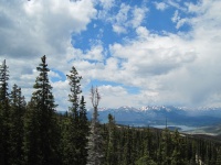 IMG_0503.jpg