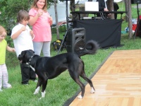 IMG_2362.jpg
