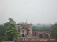 IMG_2779.jpg