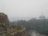 IMG_2818.jpg