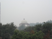IMG_2820.jpg