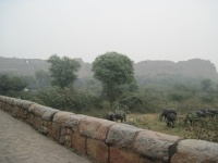 IMG_2841.jpg