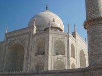 IMG_2903.jpg