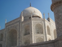 IMG_2905.jpg