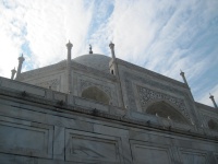 IMG_2941.jpg