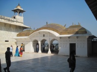 IMG_2966.jpg
