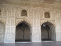 IMG_2984.jpg