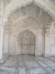 IMG_2991.jpg