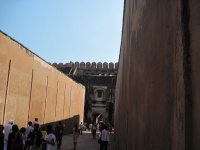 IMG_3009.jpg