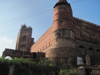 IMG_3017.jpg
