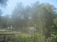IMG_3702.jpg