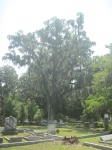 IMG_3706.jpg