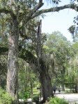 IMG_3711.jpg