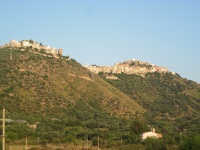 IMG_3167.jpg