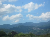 IMG_3183.jpg