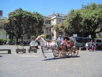 IMG_3192.jpg