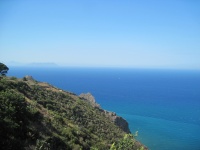 IMG_3224.jpg