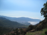 IMG_3228.jpg