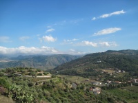 IMG_3259.jpg