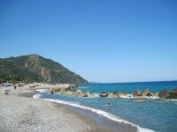 IMG_3264.jpg