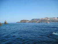 IMG_3303.jpg
