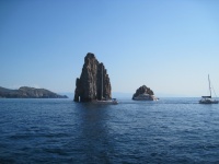 IMG_3307.jpg
