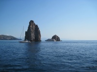 IMG_3308.jpg
