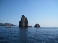 IMG_3309.jpg