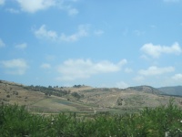IMG_3323.jpg