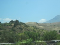 IMG_3325.jpg