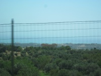 IMG_3333.jpg