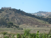 IMG_3339.jpg