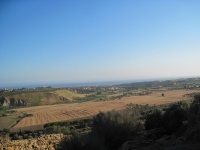 IMG_3414.jpg