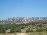 IMG_3424.jpg