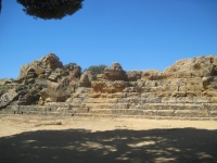 IMG_3431.jpg