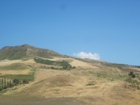 IMG_3505.jpg