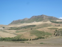 IMG_3506.jpg