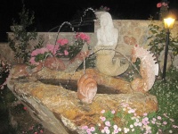 IMG_3513.jpg