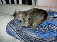 DSCN0770.JPG