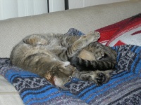 DSCN2353.JPG